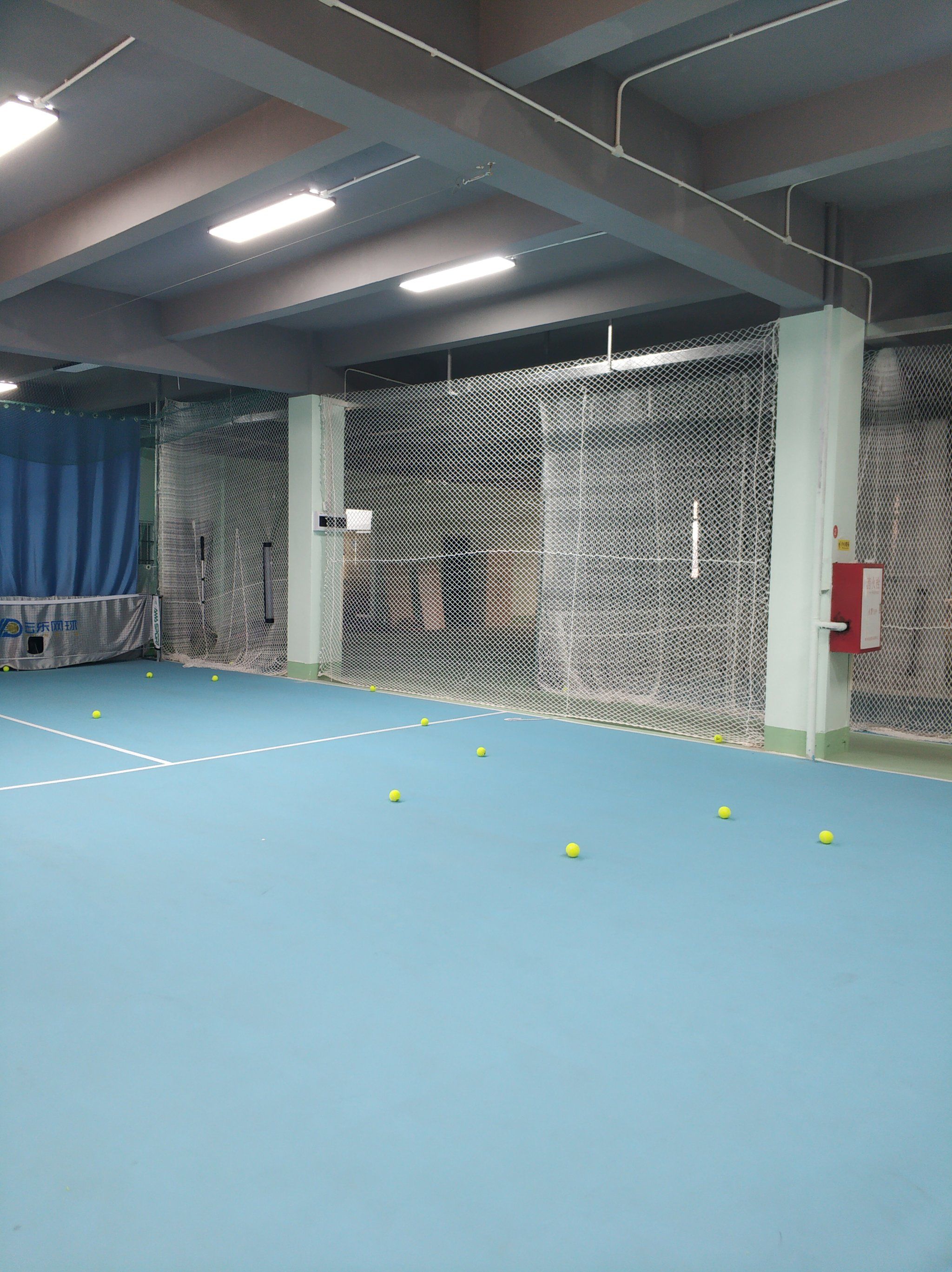 他与齐达内 他与齐达内